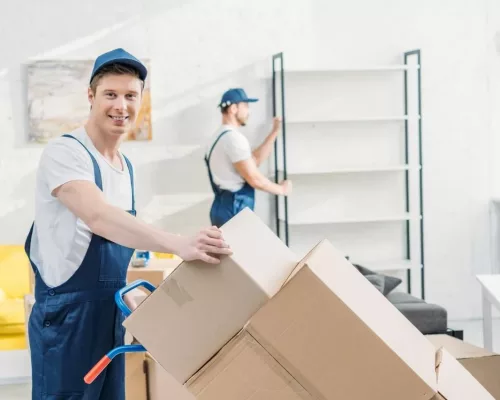 déménageur professionnel